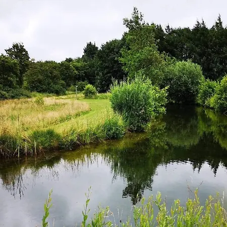 5 Person In Toftlund-by Traum * Toftlund