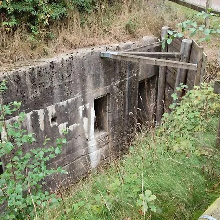 Vakantiehuis 5 Person In Toftlund-by Traum *